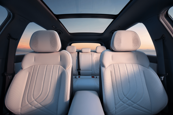 GEELY STARRAY EM-i