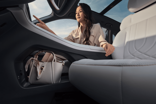 GEELY STARRAY EM-i